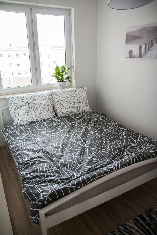 Apartament F&J Stary Toruń Екстериор снимка